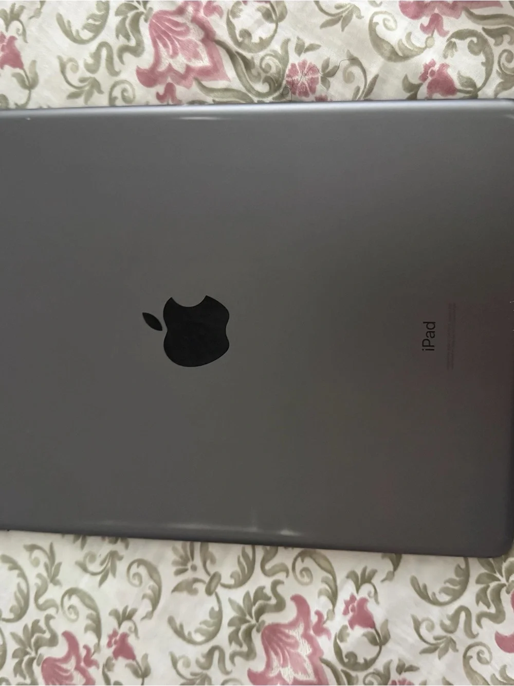 Apple iPad in Gray with Black Apple Logo